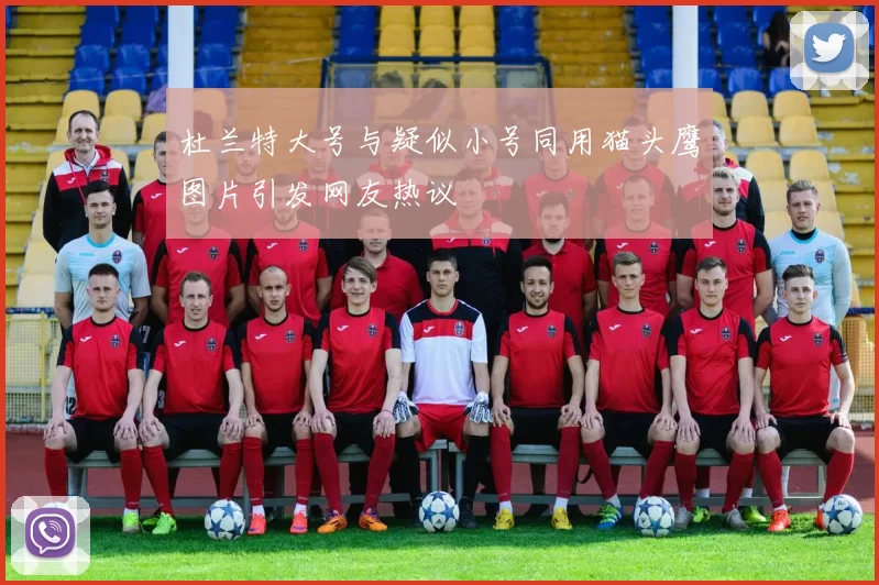 杜兰特大号与疑似小号同用猫头鹰图片引发网友热议