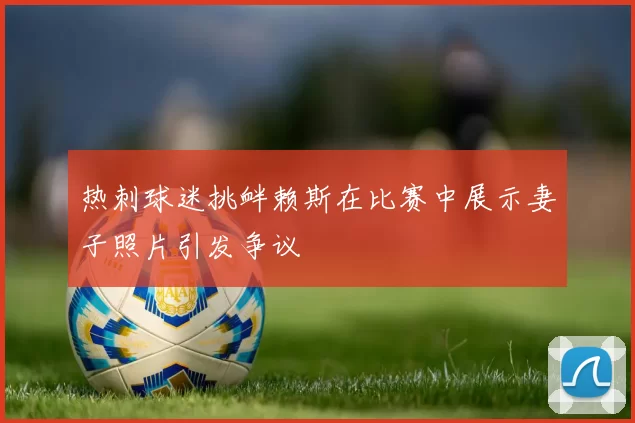 热刺球迷挑衅赖斯在比赛中展示妻子照片引发争议
