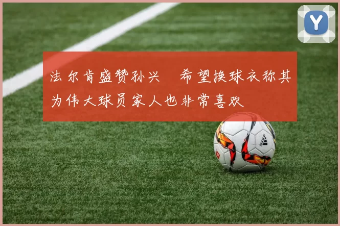 法尔肯盛赞孙兴慜希望换球衣称其为伟大球员家人也非常喜欢