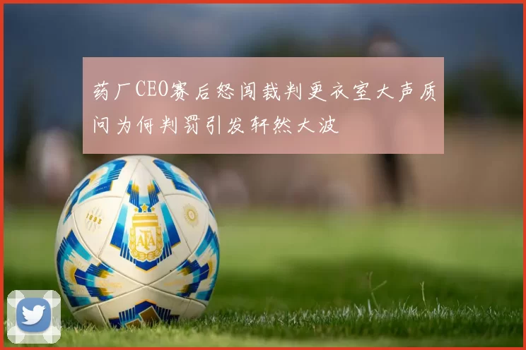 药厂CEO赛后怒闯裁判更衣室大声质问为何判罚引发轩然大波